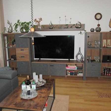 Zentrale-Ruhige Ferienwohnung Райхенбах-им-Фогтланд Экстерьер фото
