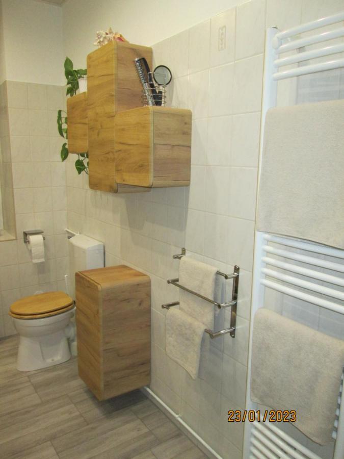 Zentrale-Ruhige Ferienwohnung Райхенбах-им-Фогтланд Экстерьер фото